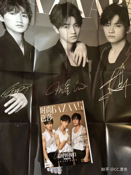 快乐追星新思路 揭秘票务代理的吸引力与入门指南